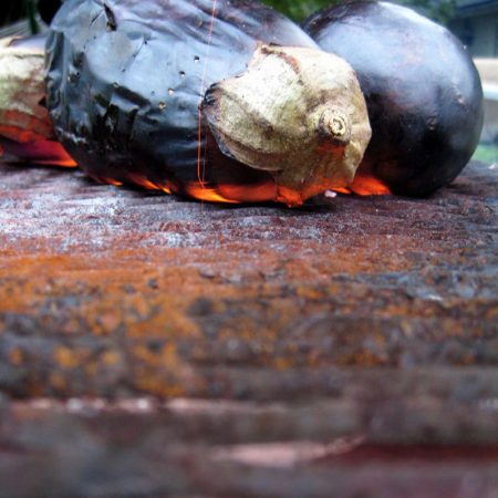 The skin pierced and burned on a grill