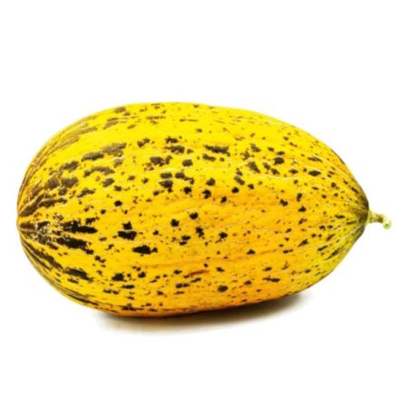 Sanchou Marhoum melon