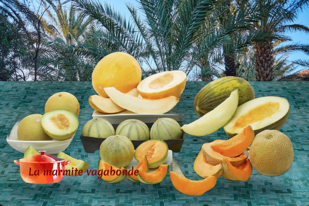 Moroccan melons, or how I finally learnt not to make mistakes at the market An assortment of melons on a zellige table in front of a palm grove